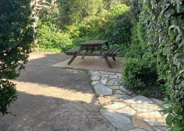 Climatise 35 M2 Pour 1 Couple - Piscine Partagee - Porto-Vecchio (Corsica)