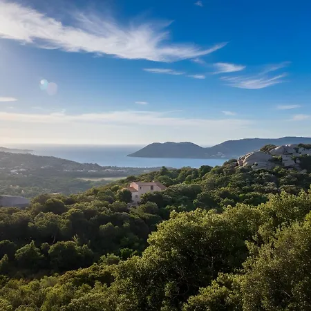 Climatise 35 M2 Pour 1 Couple - Piscine Partagee - Daire Porto-Vecchio (Corsica)